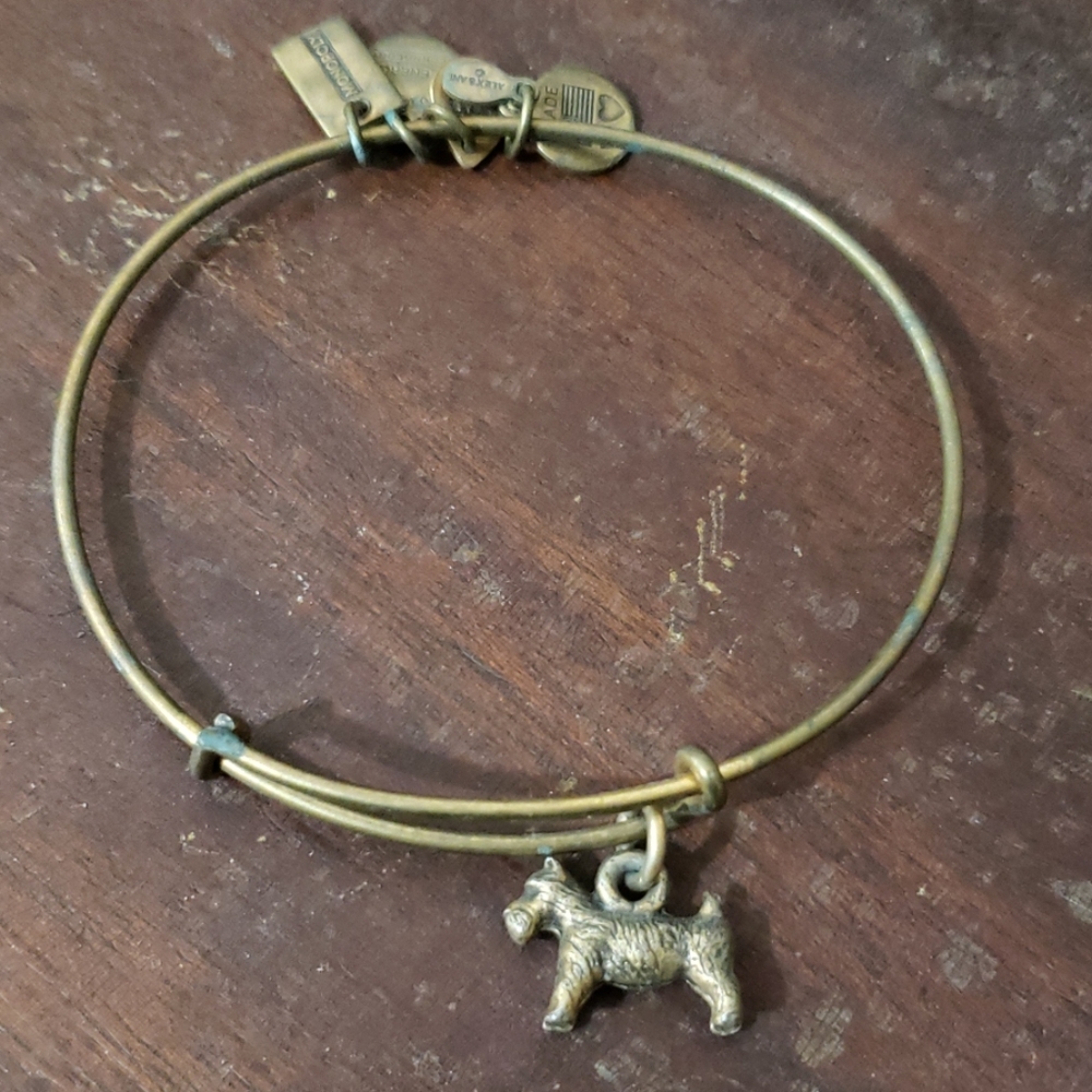 Alex and Ani Monopoly Dog Bracelet